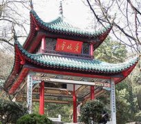 ����ͤ����ô ͣ������������