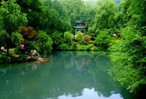 ��´ɽ���ι���