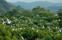 �����ֺ���ô �����������԰