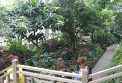 �й���ѧԺ�人ֲ��԰����ô �˴󾰵�