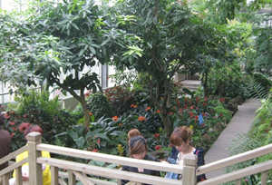 �й���ѧԺ�人ֲ��԰����ô