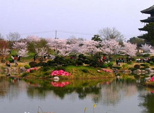 �����羰������ô