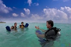 ������������ע������ ɳ̲�ϵĻ���