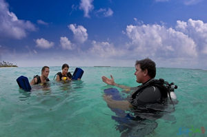 ������������ע������