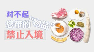 出境游注意事项