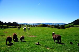 ����������ע������