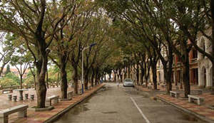 集美学村好玩么