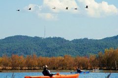 ���к����������̳� �������۶�����