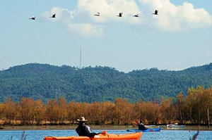 ���к����������̳�