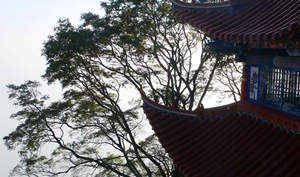 ������ɽ�������