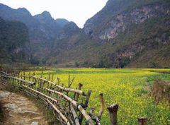 ����ȥ���Ϻ���ô ̤�������