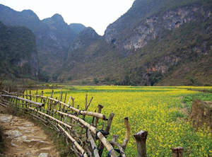 春天去云南好玩么