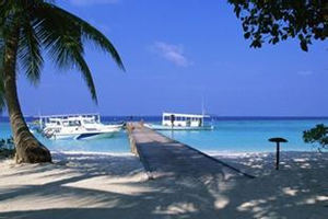 ȥ���嵺������Ҫ��ʲô