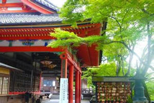 �ձ�����ע������