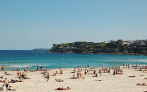 �Ĵ���������ע������