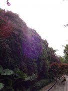 ������·��԰��ô�� ����÷��ʢ��