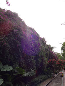 厦门铁路公园怎么样