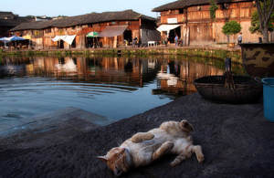 ��������ȥ����