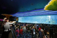 �������κ�ȥ�� �麣��¡��������