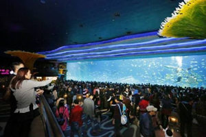 清明旅游好去处