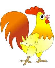 属鸡的本周运势查询