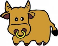 ��ţ�е�ȱ������Щ ��ԸΪŮ�ѻ�Ǯ������