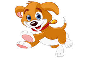 属狗的本周运势查询