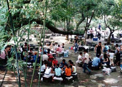 ���¶Ӫ����