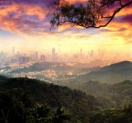 ����¶Ӫ��ȥ���Ƽ�