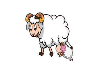 Ħ�������˵ĵ��� 