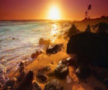 ����¶Ӫ��ȥ�� ����¶Ӫ����