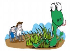 Ұ���������� ��ȫС��ʿ