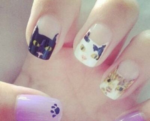 �����ֻ�è��ָ�� ������è������ͼ��