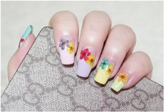 �ʻ����Ư��ָ�׵Ĳ��� ָ�ײʻ沽��