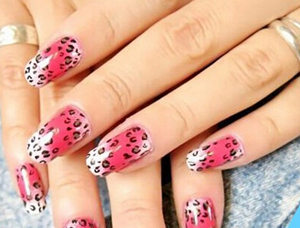 ���䱪��������ô�� ���䱪�����׽̳�ͼ��