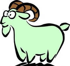 摩羯座做人的原则