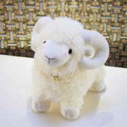 ������ȱ������Щ ������������ȱ��