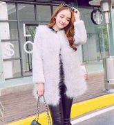 2015�������̷������Ƽ� �ÿ����̷�����ͼƬ