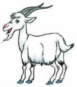 Ħ������ôȥƣ�� Ħ��������ƣ�͵�����