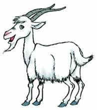 摩羯座怎么去疲劳