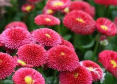 �����������˻� ���������ػ���