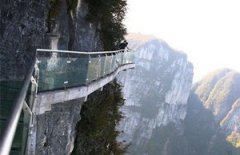 ����ȥ�Ķ��� �żҽ�������