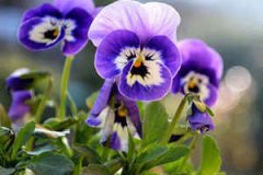 ˮƿ�������˻� ˮƿ�����ػ���