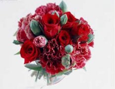 ��ţ�������˻� ��ţ�����ػ���