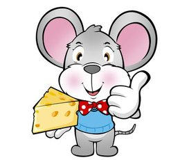 属鼠的人2015年运程