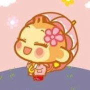 �������2015���˳� �������������