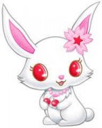 ���õ���2015���˳� ���õ���������