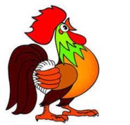 ��������2015���˳� ��������������