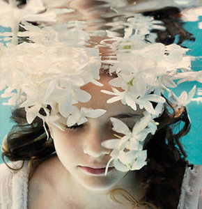 2015��ֲ��Ʒ�ƴ�ȫ 