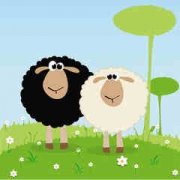 ���ܺ�Ħ�����˵��Ը� Ħ�����ϴ������ȱ���